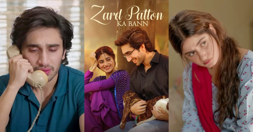 Zard Patton Ka Bunn Episode 18 - Meenu & Nofil's Love Story Sparks Debate