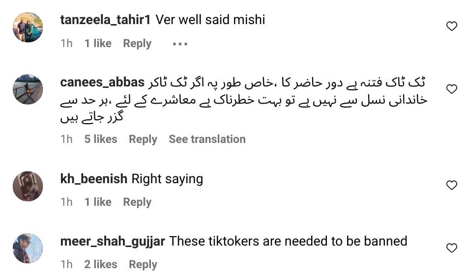 Mishi Khan Criticizes TikTokers For Inappropriate Videos