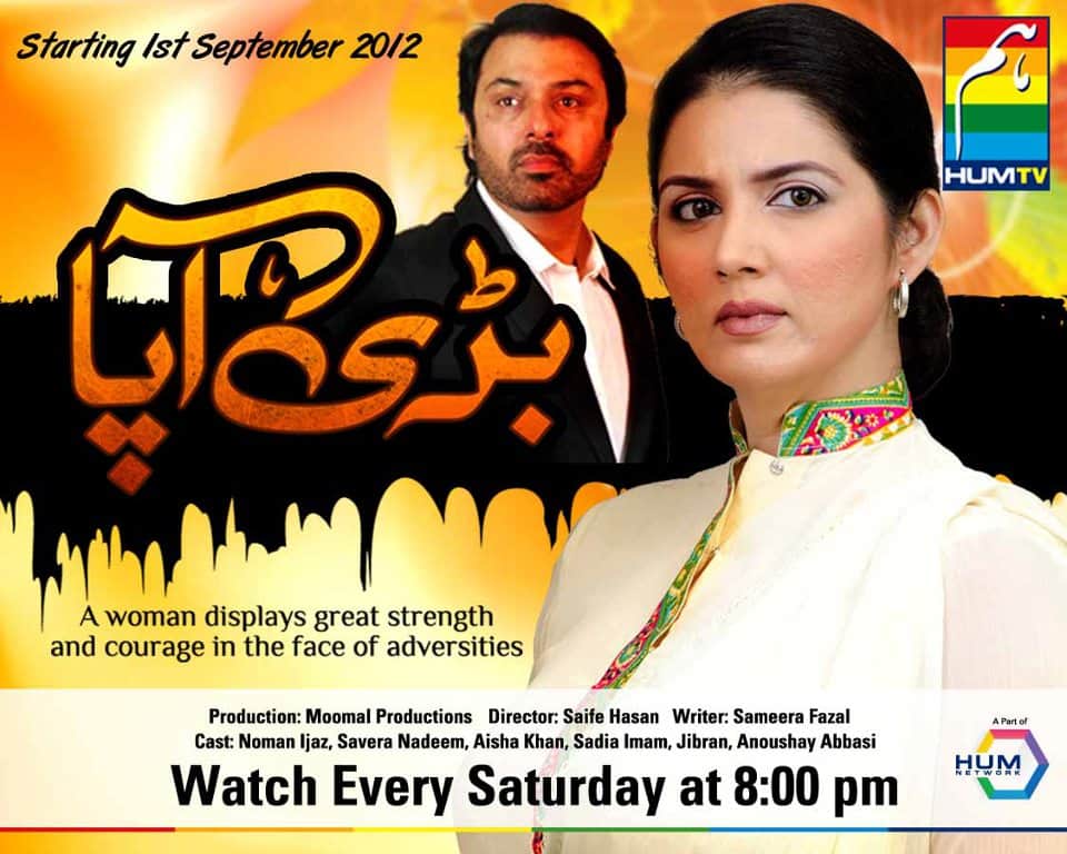 20 Nauman Ijaz Dramas That Are A Must Watch