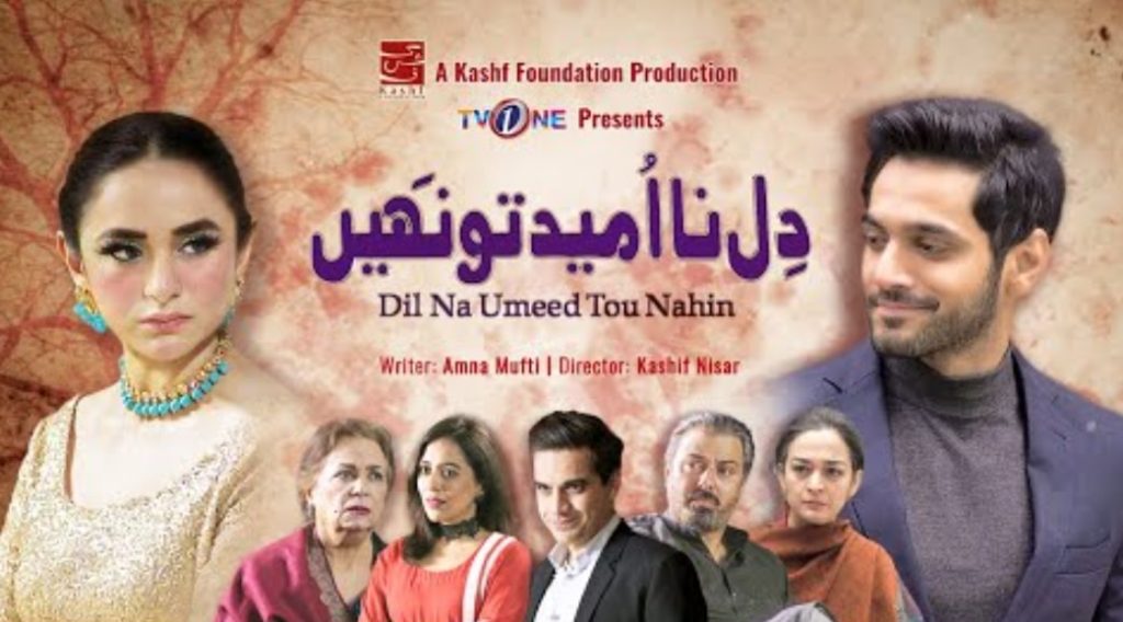 20 Nauman Ijaz Dramas That Are A Must Watch