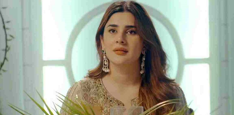 Pakistani Actresses Who Nailed Both Positive & Negative Characters