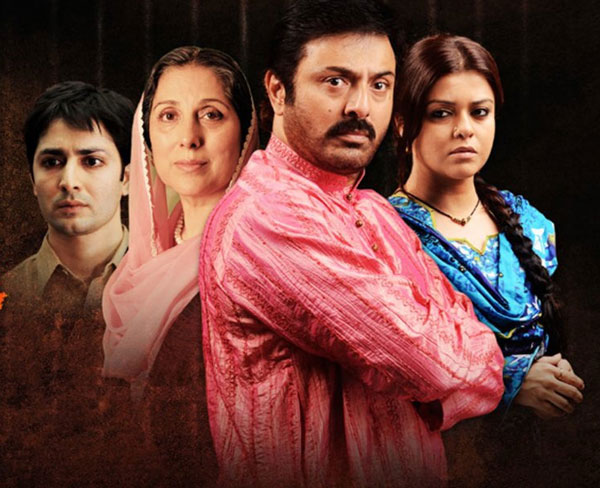 20 Must Watch Dramas Of Nauman Ijaz