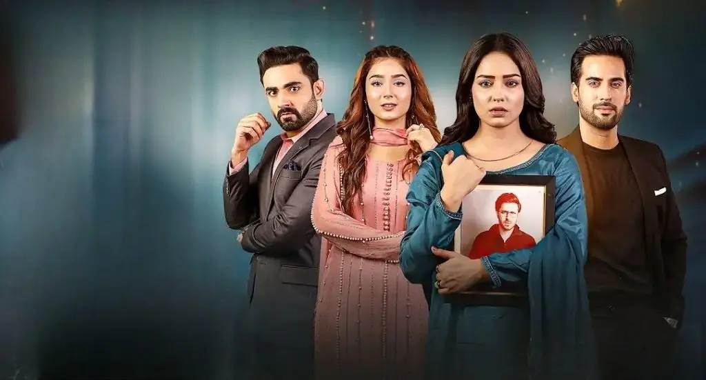 20 Most Watched Pakistani Dramas of 2024