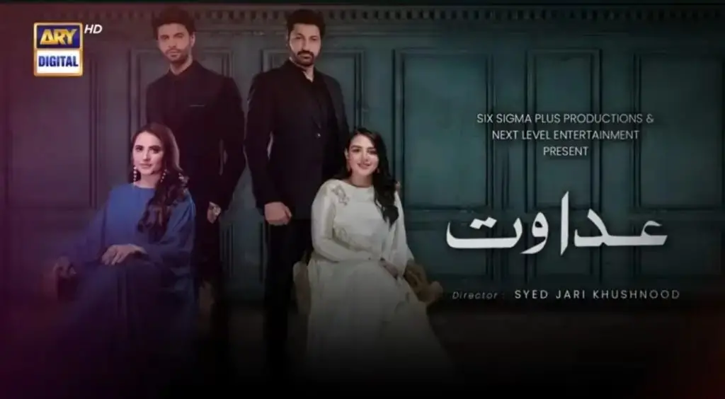 2024 Pakistani Dramas That Went Off Track