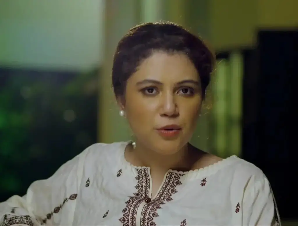 12 Best Female Performances In 2024 Pakistani Dramas