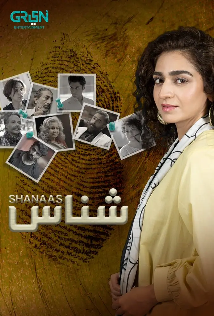 10 Recent Best Pakistani Dramas On Taboo Topics