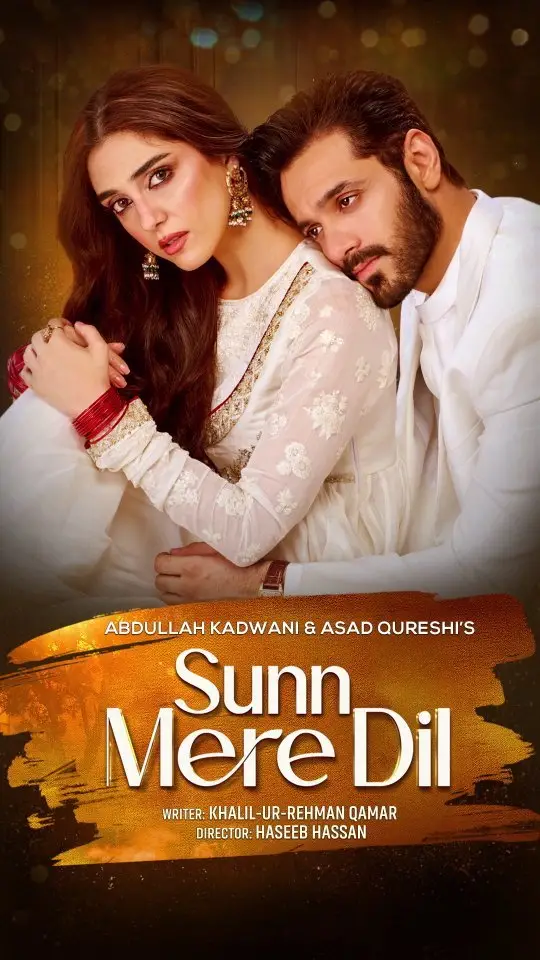 Is Sunn Mere Dil A Flop : Ratings VS Views