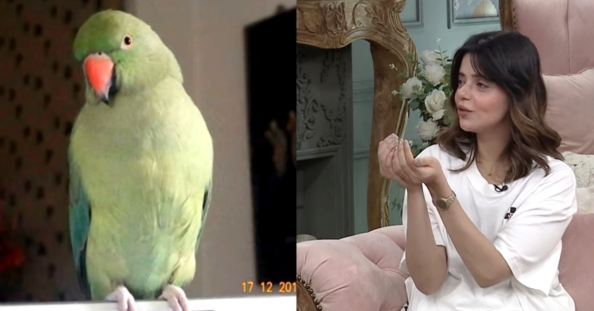 Srha Asghar Shares Her Grief Over Her Parrot’s Death