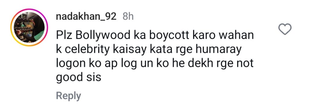 Fiza Ali Under Fire For Showing Bollywood Film To Daughter