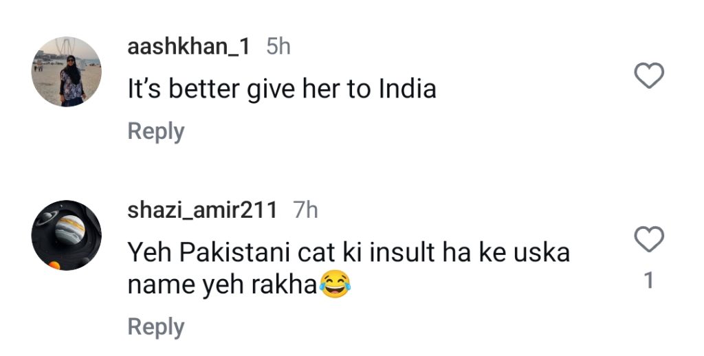 Hania Aamir Names Her Cat Aishwarya – Internet Reacts