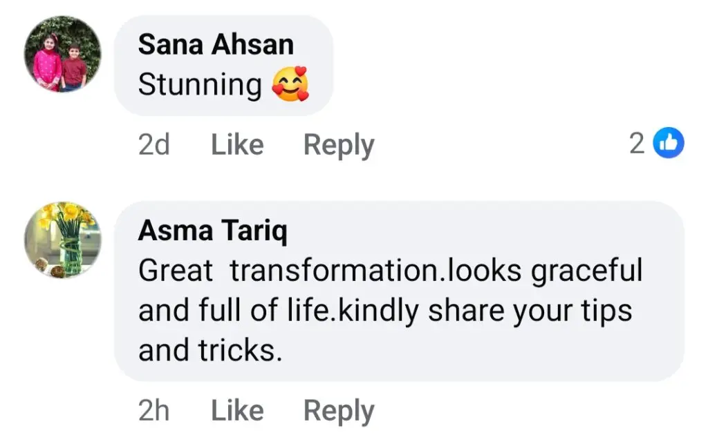 Shagufta Ejaz Flaunts Weight Loss With A Powerful Caption