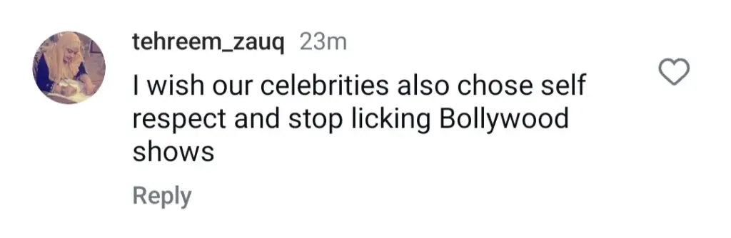 Anoushey Ashraf’s Praise For Shah Rukh Khan Confuses Pakistani Public