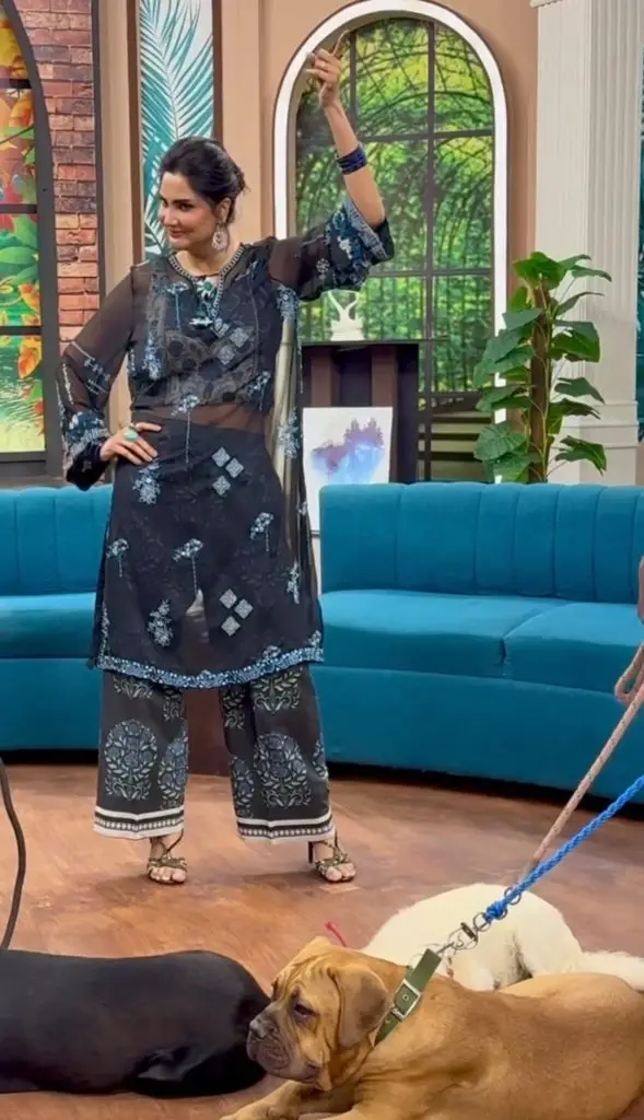 Fiza Ali’s Revealing Outfit in Recent Show enrages public