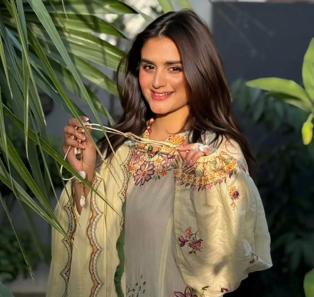 Hareem Farooq and Nauman Ijaz Upcoming Drama Details