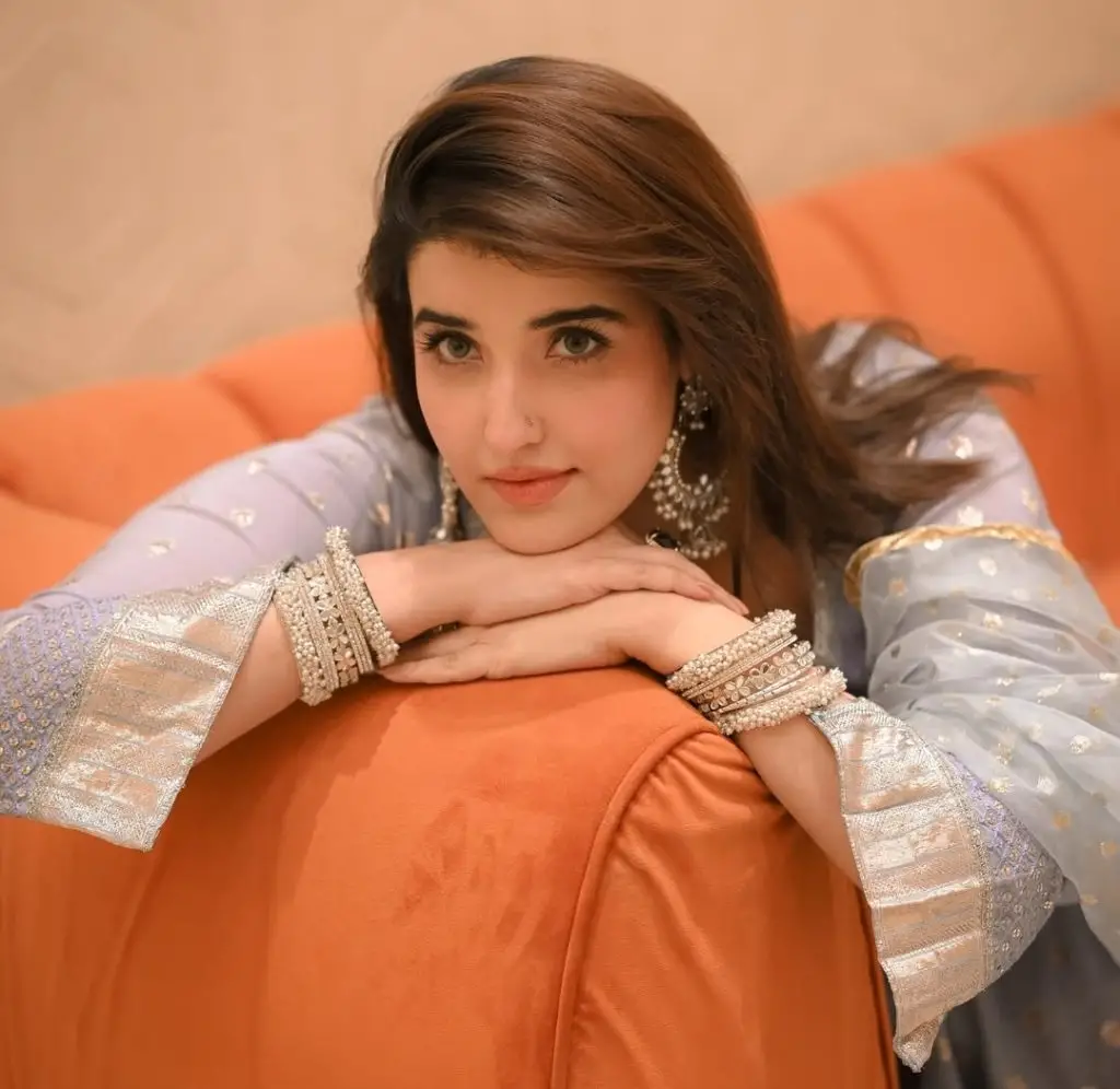 Hareem Farooq and Nauman Ijaz Upcoming Drama Details