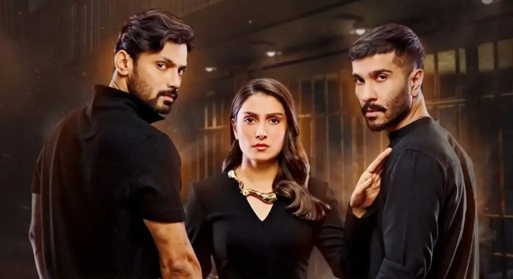 Pakistani TV Critics Face Backlash for Criticizing Humraaz