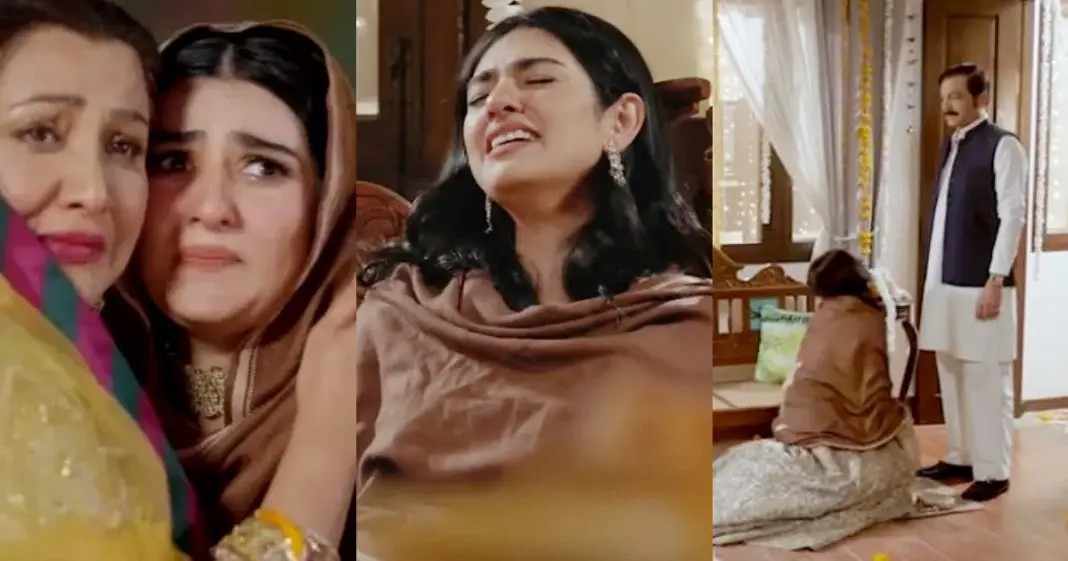 Sarah Khan’s Emotional Performance in Sher Disappoints Public