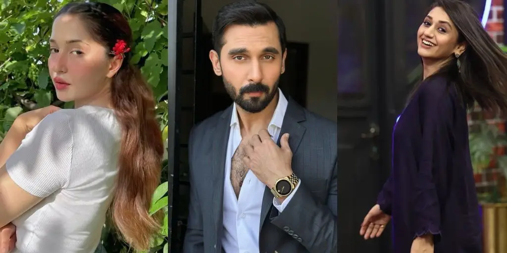 Pakistan Celebs Question AVM Aurangzeb’s Flirty Fans