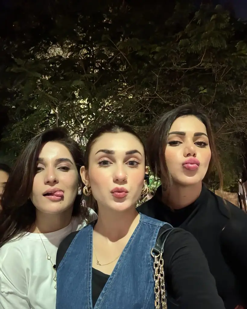 Naqaab Cast Reunites At Dinner