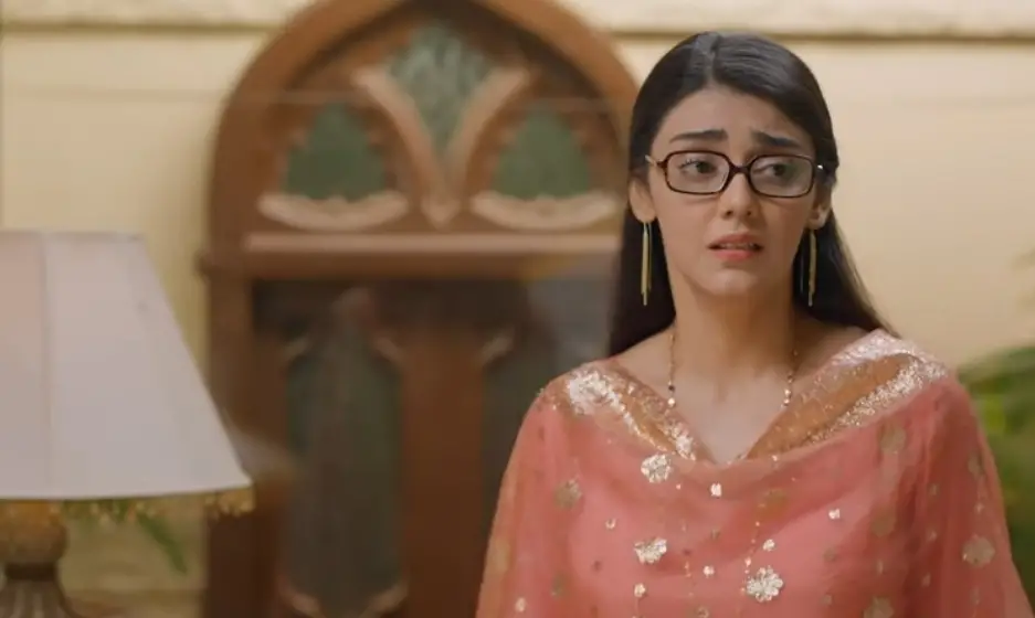 Hum TV’s Pehli Mohabbat Criticized for  Inappropriate Love Track