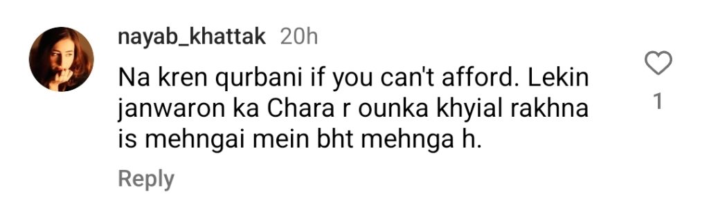 Nauman Ijaz Faces Criticism for Comparing iPhone with Qurbani
