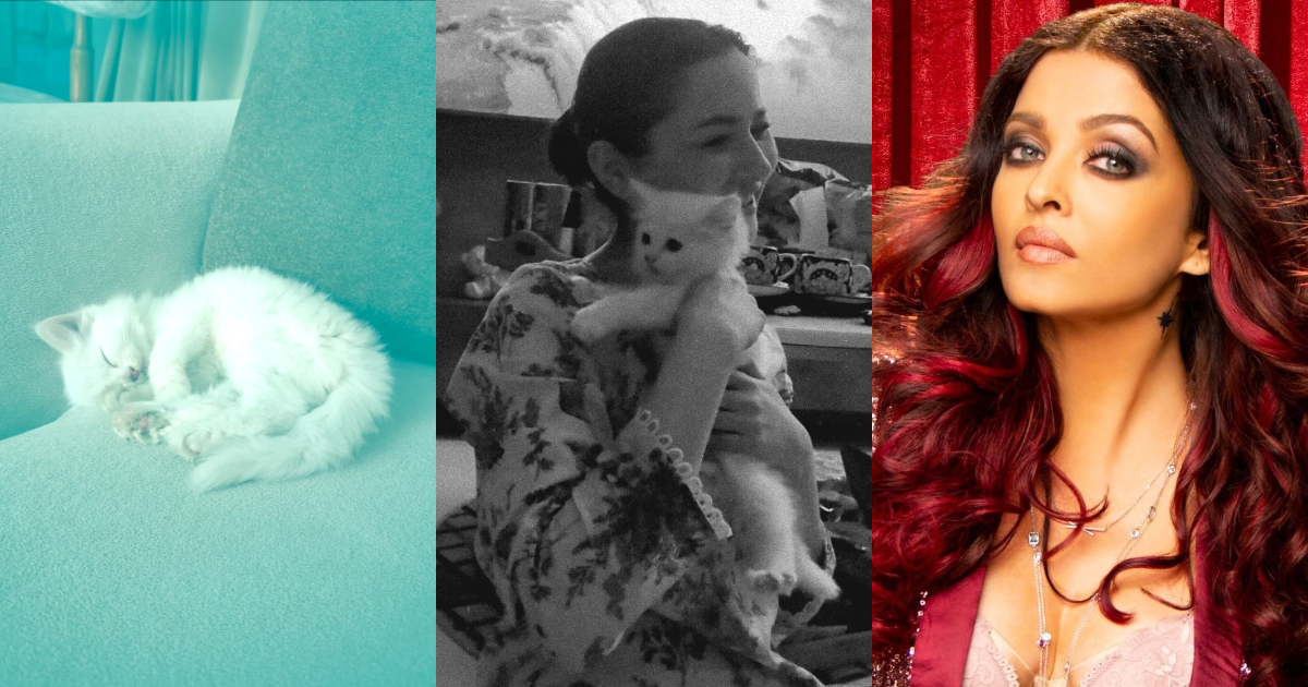Hania Aamir Names Her Cat Aishwarya – Internet Reacts