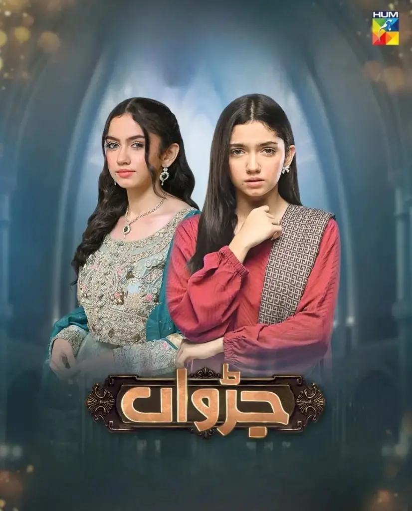 Hum TV Called Out By Public On Begging Indian Fans For Views
