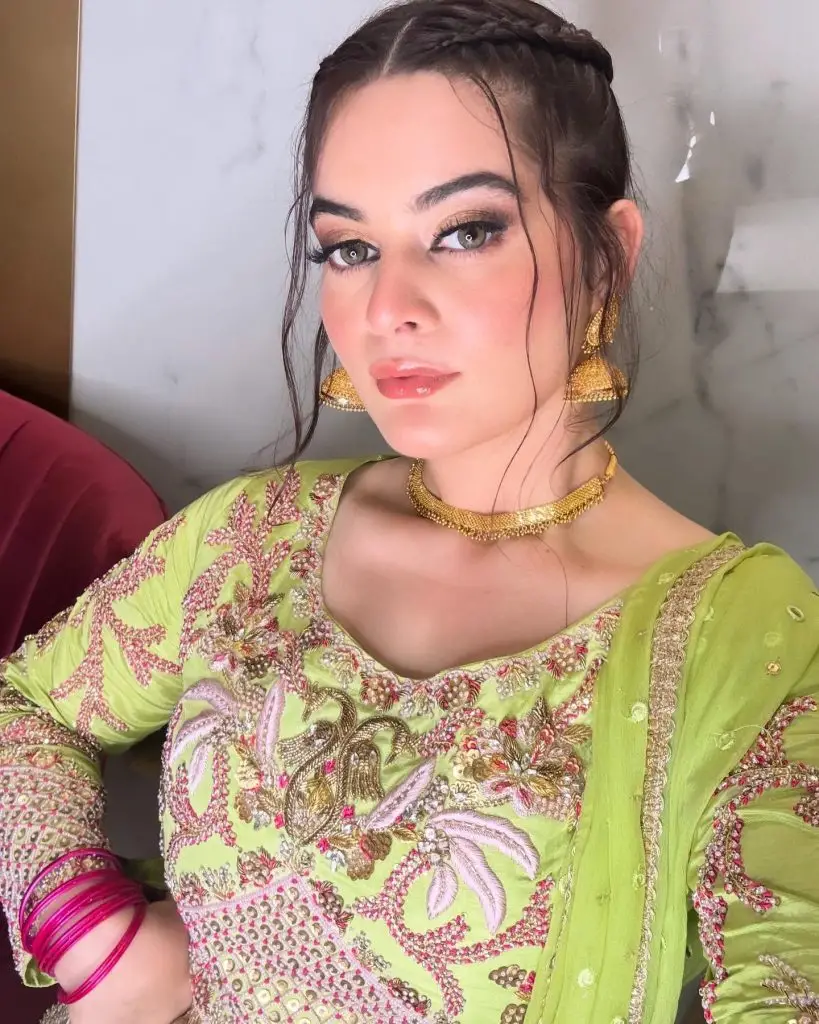 Pakistani Stars Who Stood Up Strongly For Their Country