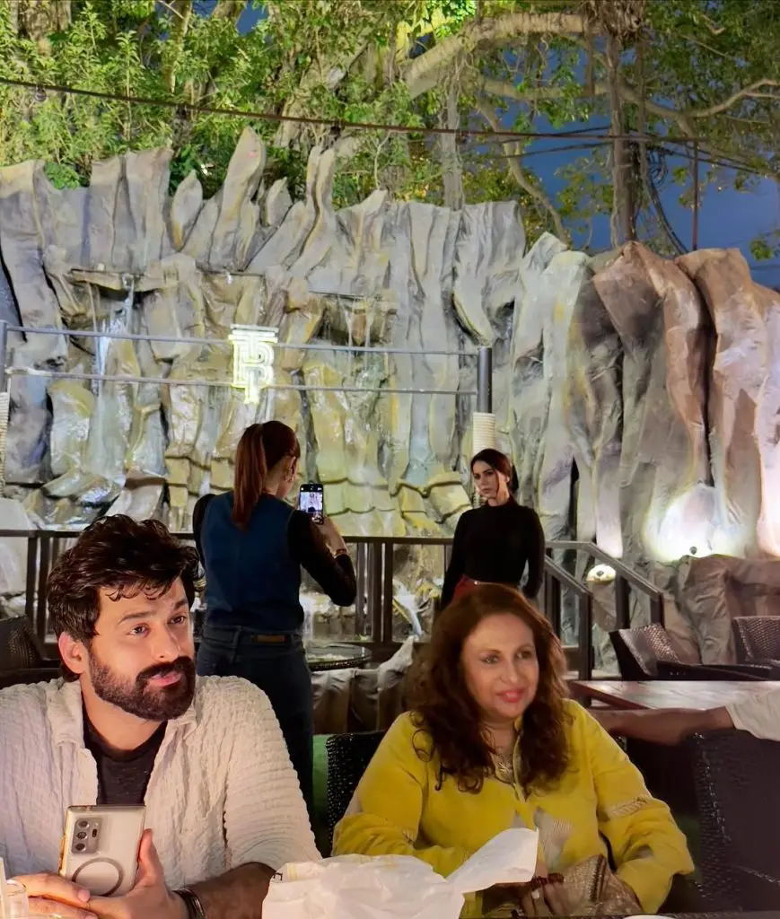 Naqaab Cast Reunites At Dinner