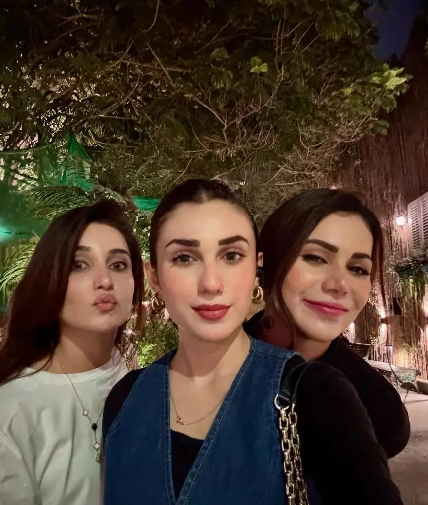 Naqaab Cast Reunites At Dinner