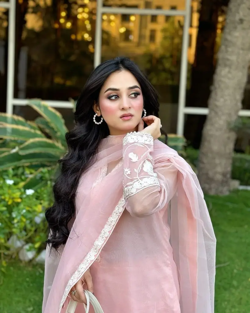 Sher – Cast, Schedule & Timings