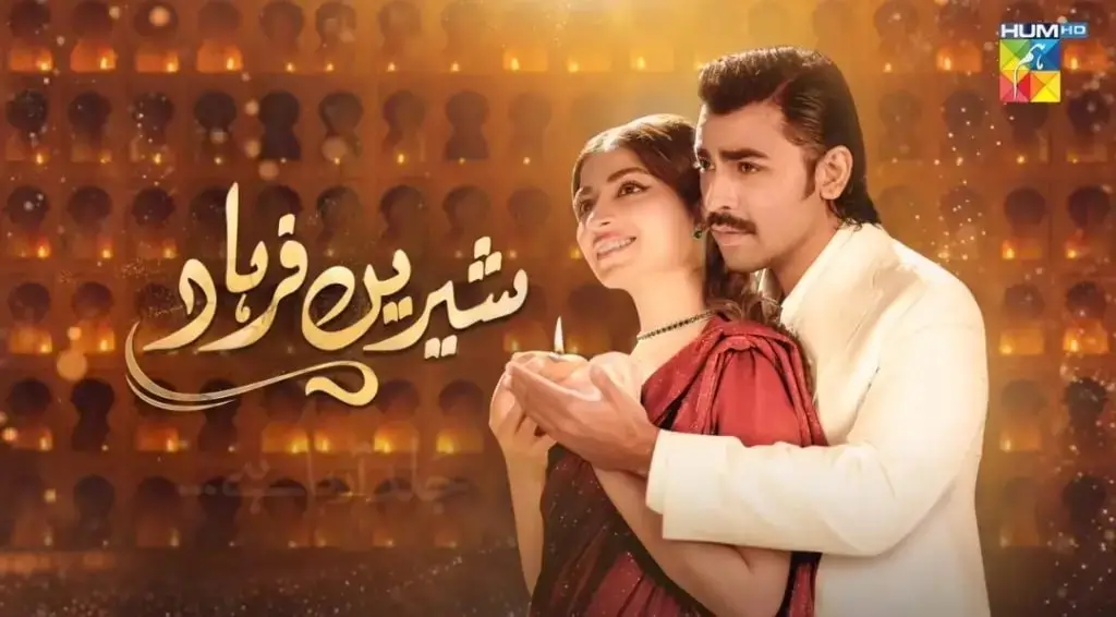 Hum TV Called Out By Public On Begging Indian Fans For Views