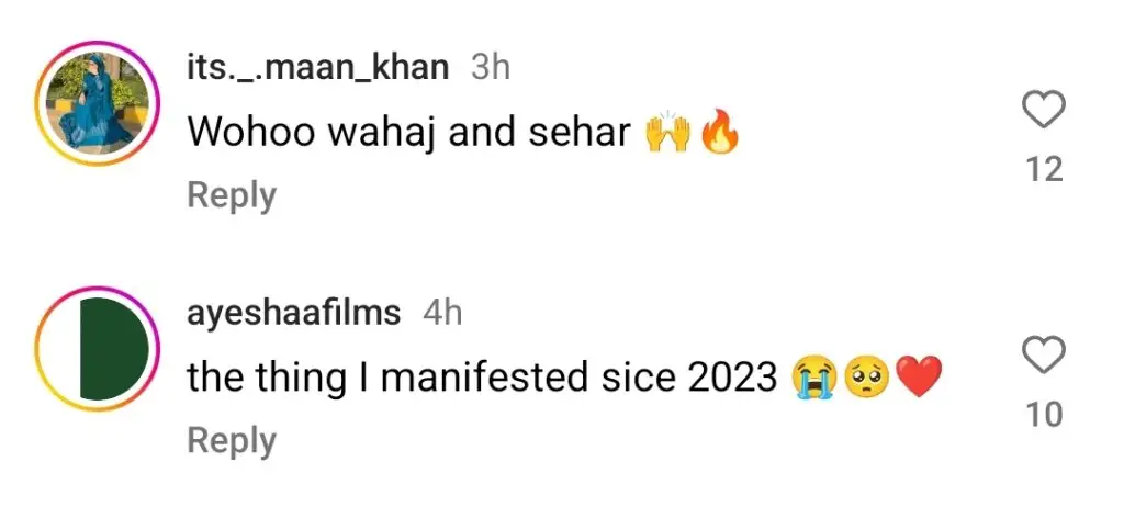 Wahaj Ali & Sehar Khan Upcoming Drama Details