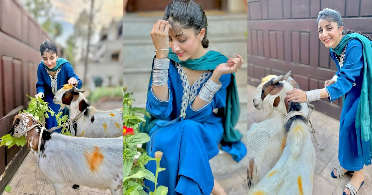 Mawra Hocane’s Beautiful Photoshoot with Her Qurbani