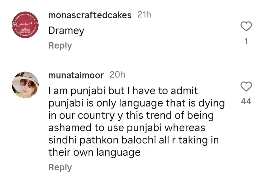 Zara Noor Abbas Under Criticism For Her Statement About Punjabi