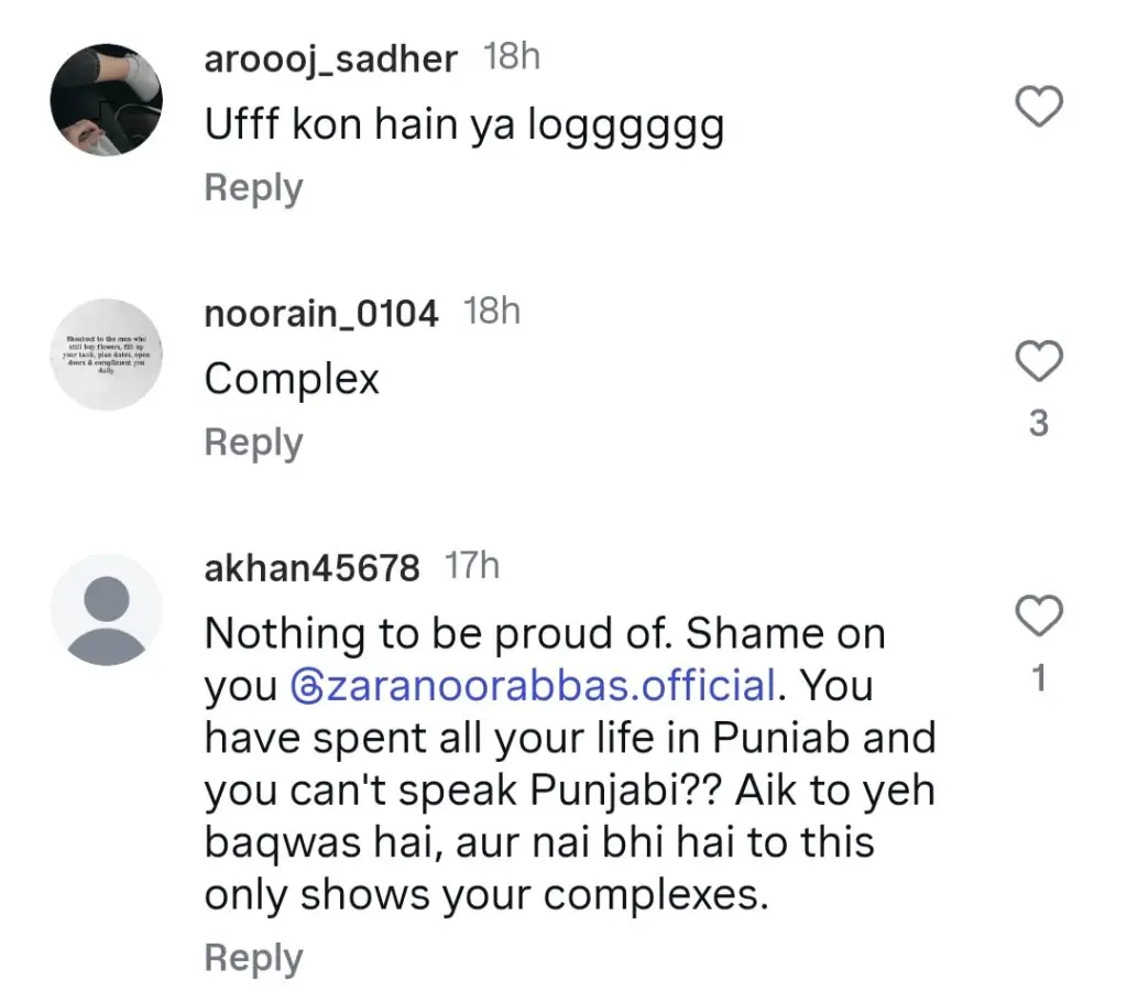 Zara Noor Abbas Under Criticism For Her Statement About Punjabi