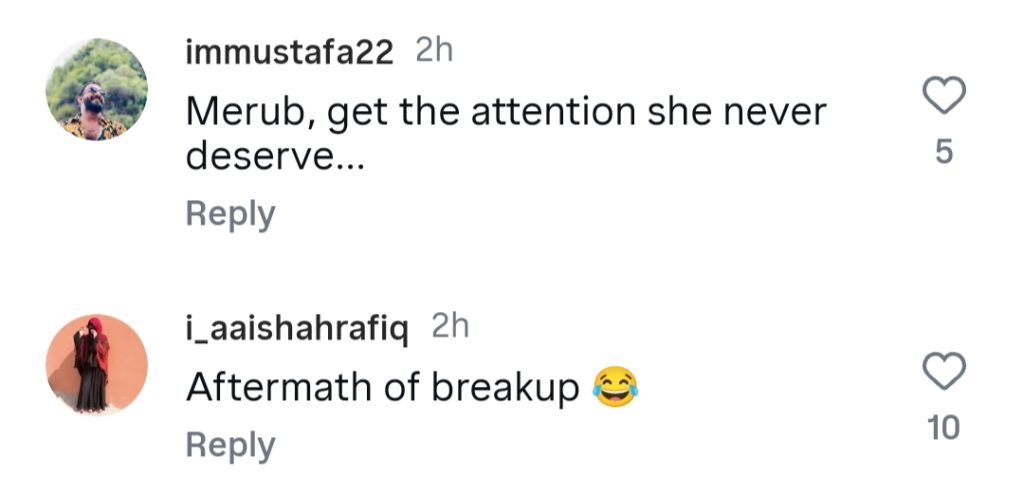 Merub Ali's Behaviour After Breakup Under Scrutiny