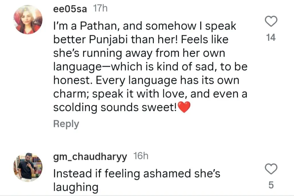 Zara Noor Abbas Under Criticism For Her Statement About Punjabi
