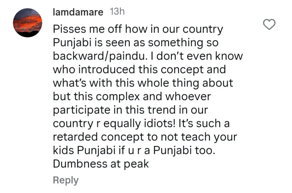 Zara Noor Abbas Under Criticism For Her Statement About Punjabi