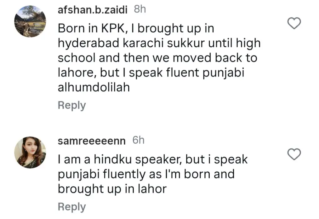 Zara Noor Abbas Under Criticism For Her Statement About Punjabi