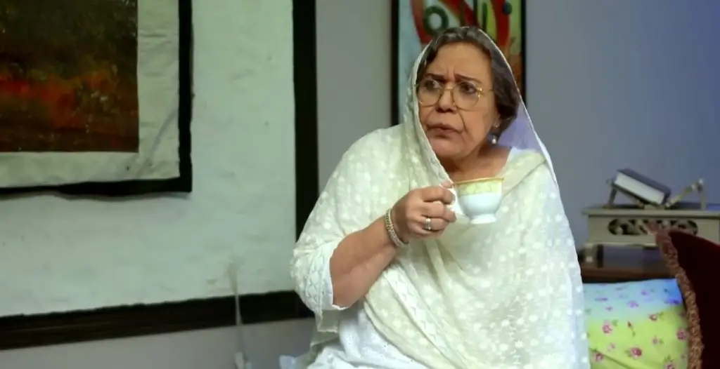 Senior Actor Ayesha Khan Passes Away