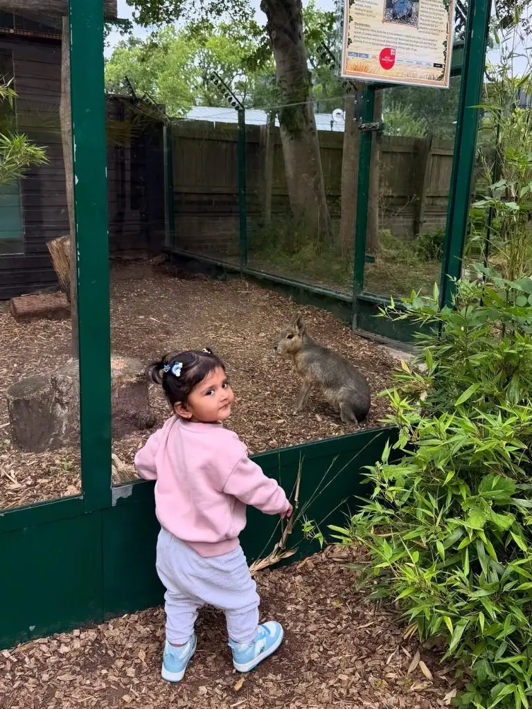 Hassan Ali Enjoys Serene Family Vacation in the UK