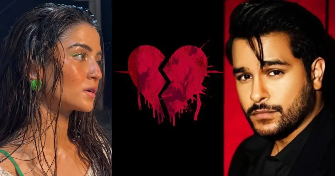 Merub Ali Breaks Silence On Breakup With Asim Azhar