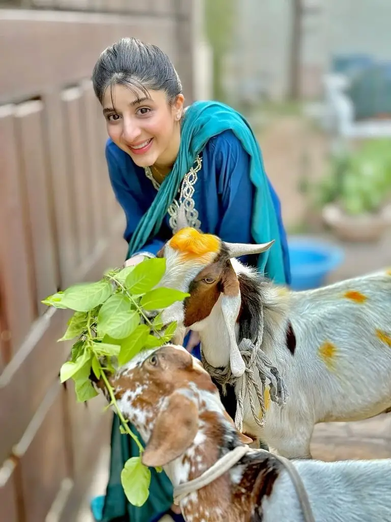 Mawra Hocane’s Beautiful Photoshoot with Her Qurbani