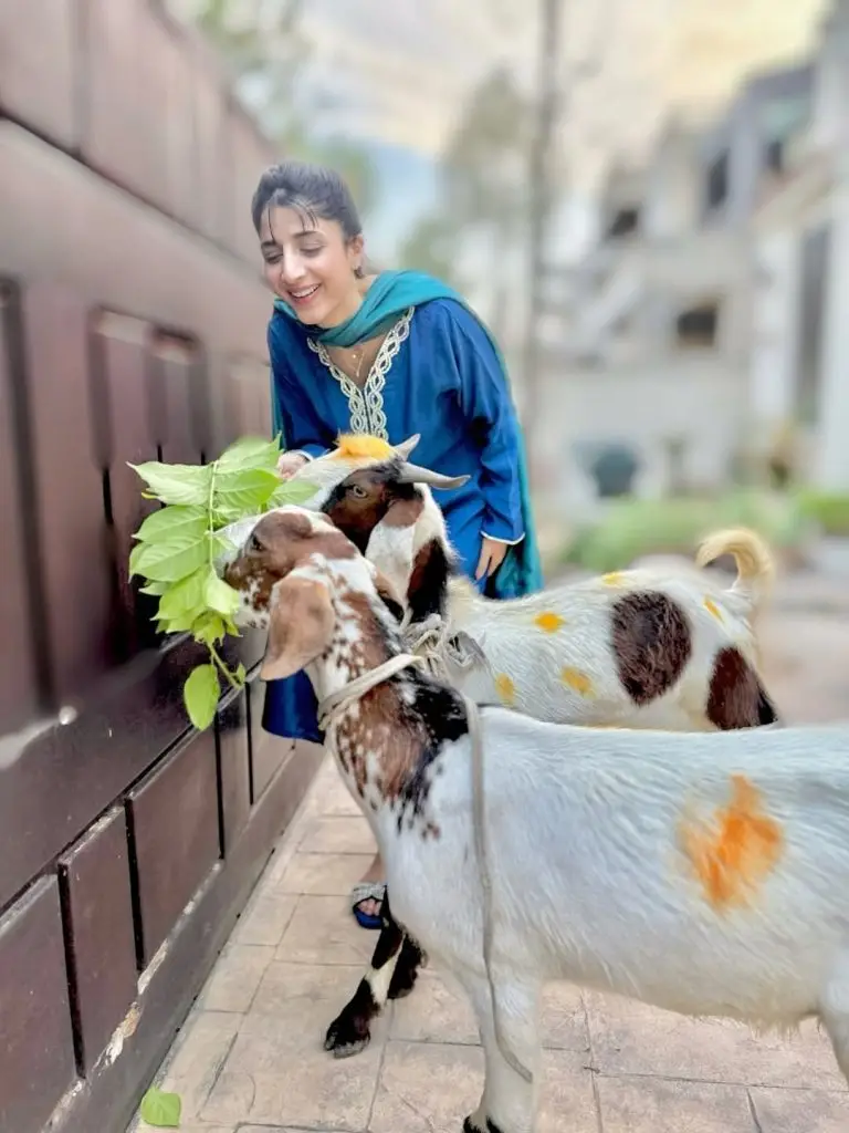 Mawra Hocane’s Beautiful Photoshoot with Her Qurbani