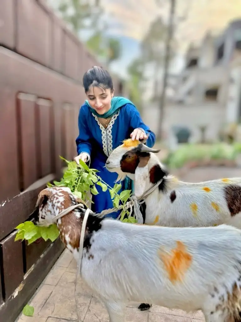 Mawra Hocane’s Beautiful Photoshoot with Her Qurbani