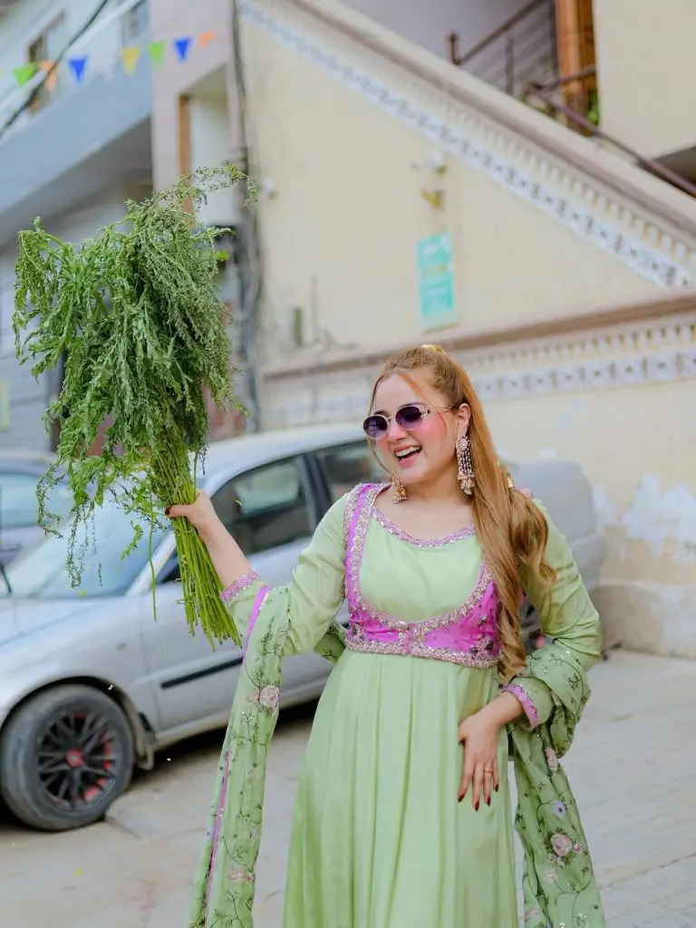Pakistani Celebrities Evening Looks from Eid Ul Adha Day 1