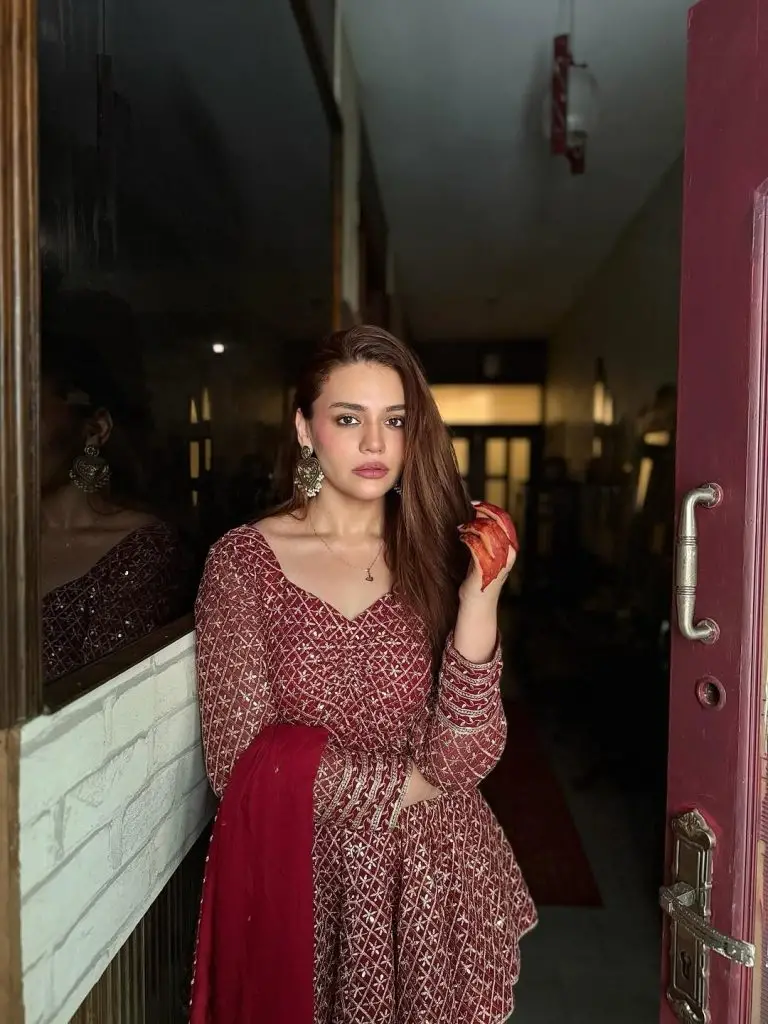 Pakistani Celebrities Evening Looks from Eid Ul Adha Day 1