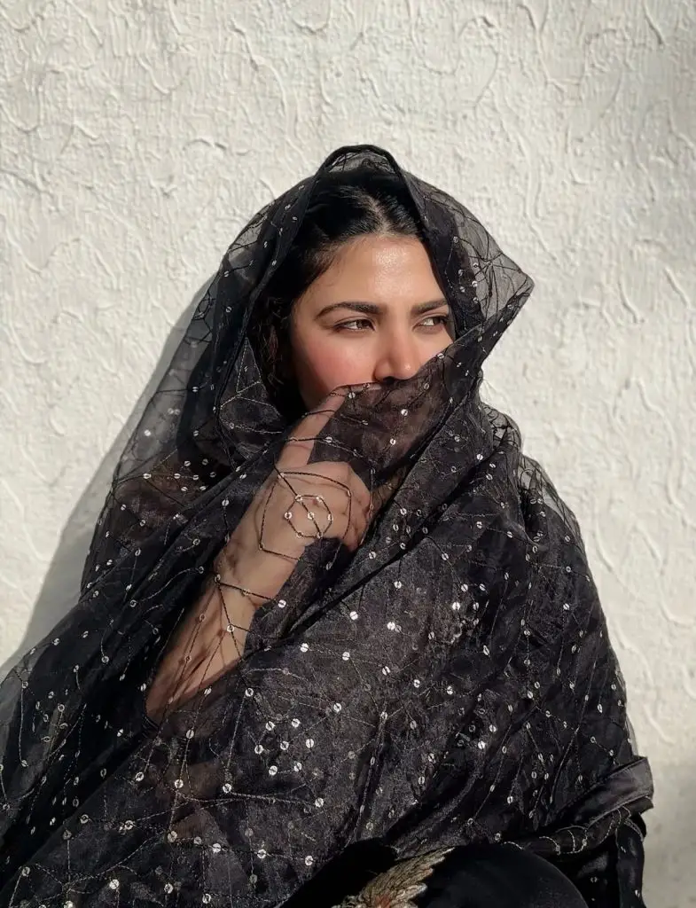 Pakistani Celebrities Evening Looks from Eid Ul Adha Day 1