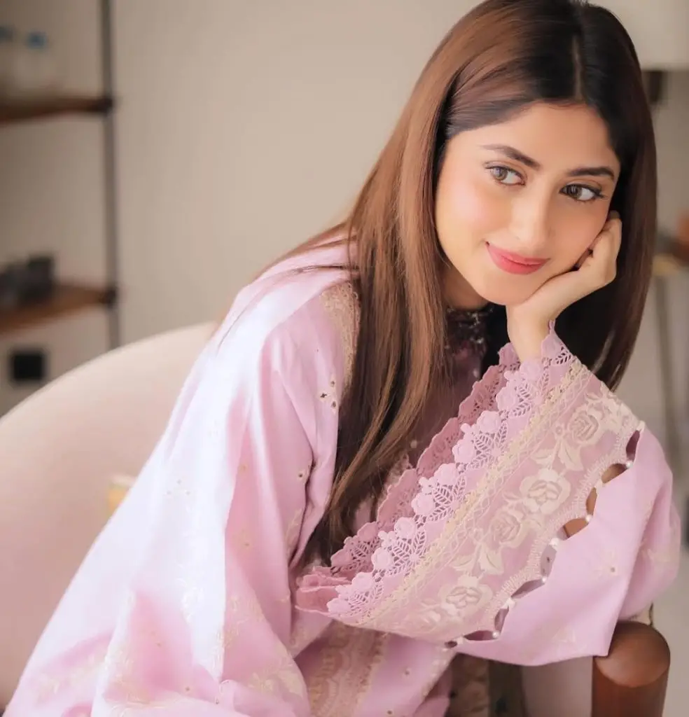 Sajal Aly & Ameer Gilani Upcoming Drama Details